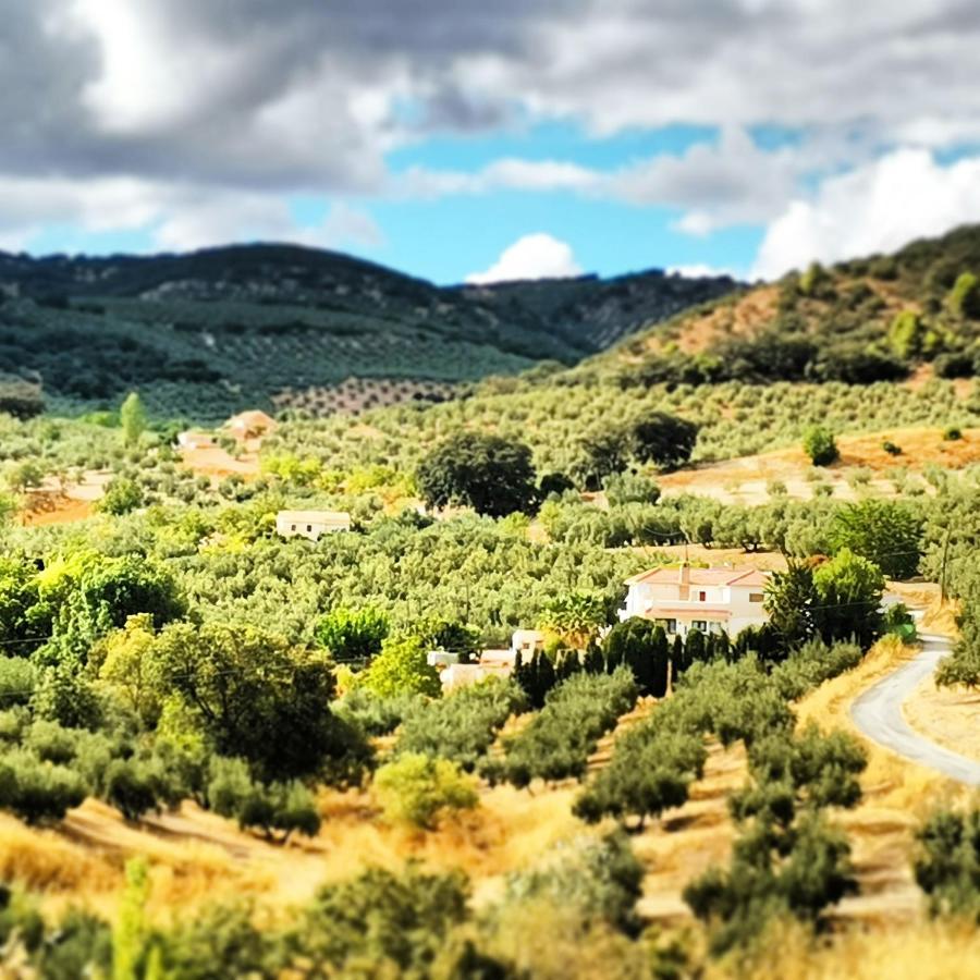 Cortijo Pennymaria Poolside Apartment Near Montefrio With Stunning Views Dış mekan fotoğraf