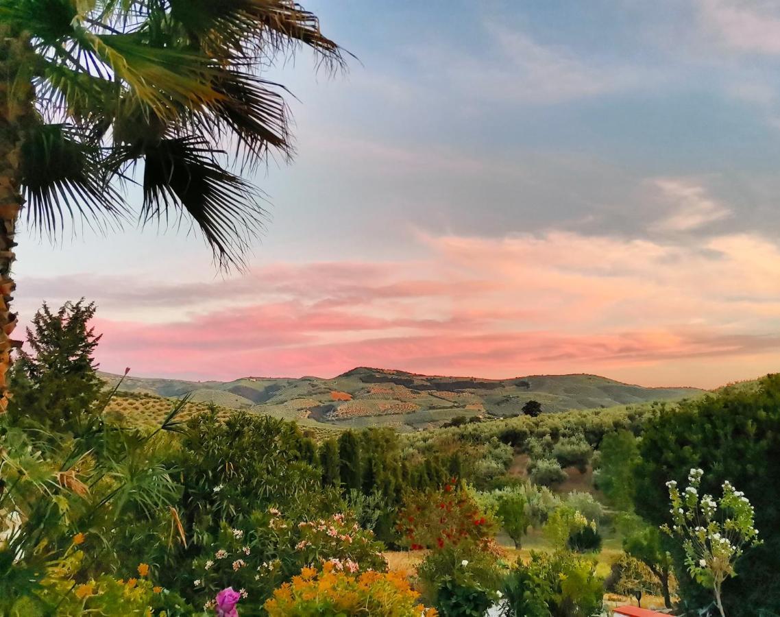 Cortijo Pennymaria Poolside Apartment Near Montefrio With Stunning Views Dış mekan fotoğraf